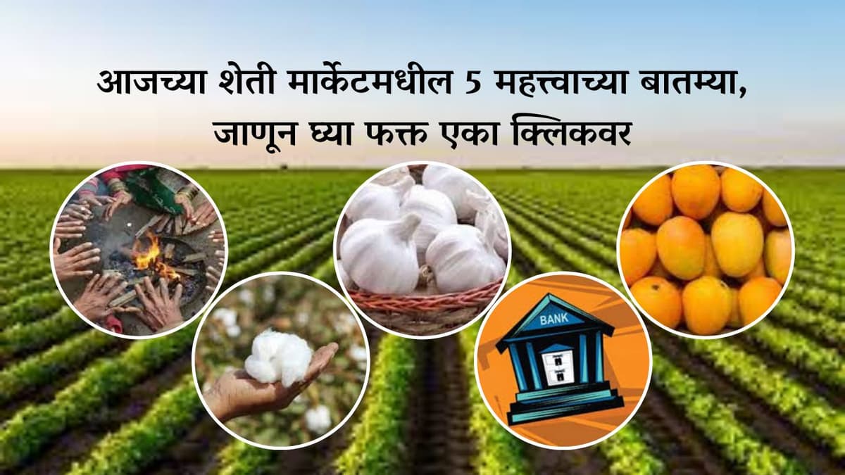 Agriculture News : आजच्या शेती मार्केटमधील 5 महत्त्वाच्या बातम्या