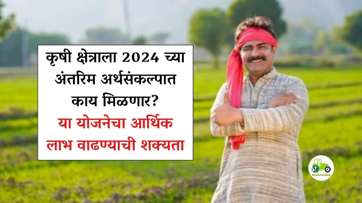 Budget 2024 : कृषी क्षेत्राला 2024 च्या अंतरिम अर्थसंकल्पात काय मिळणार? या योजनेचा आर्थिक लाभ वाढण्याची शक्यता