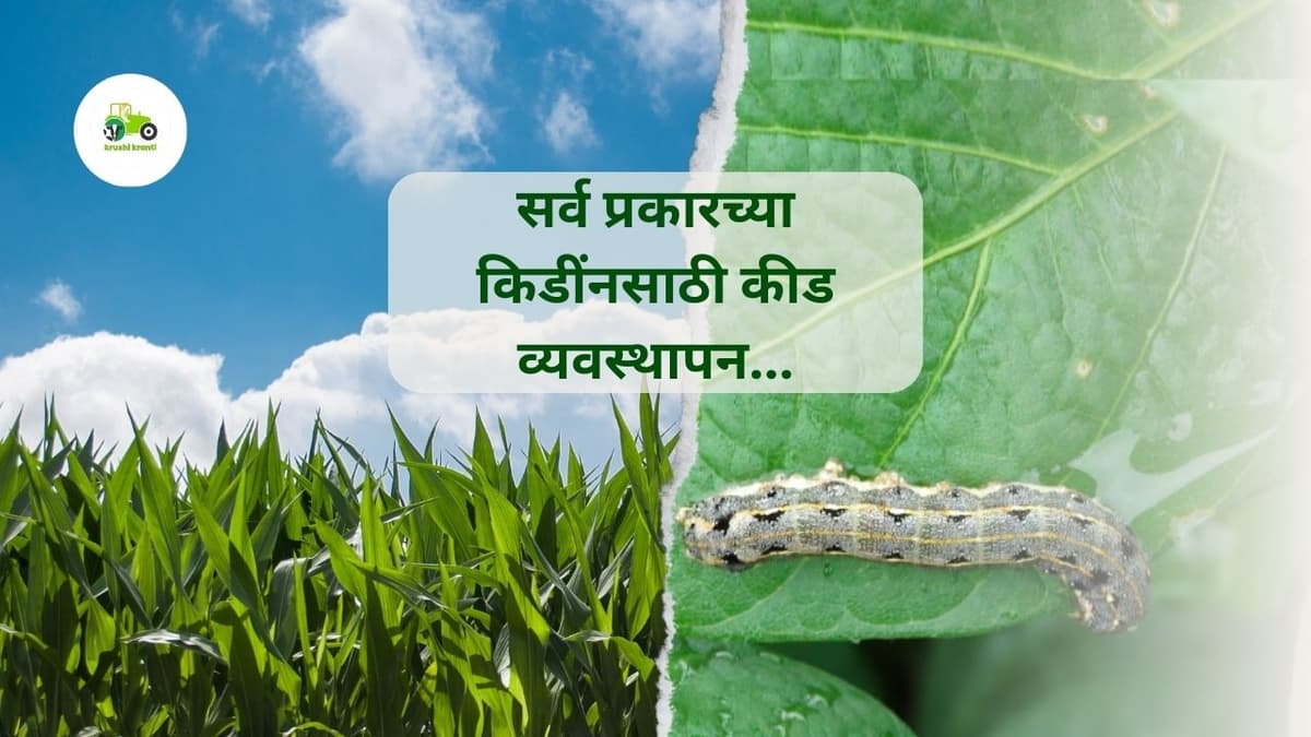 कीड व्यवस्थापनासाठी आवश्यक माहिती