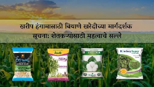 खरीप हंगामासाठी बियाणे खरेदीच्या मार्गदर्शक सूचना: शेतकऱ्यांसाठी महत्वाचे सल्ले