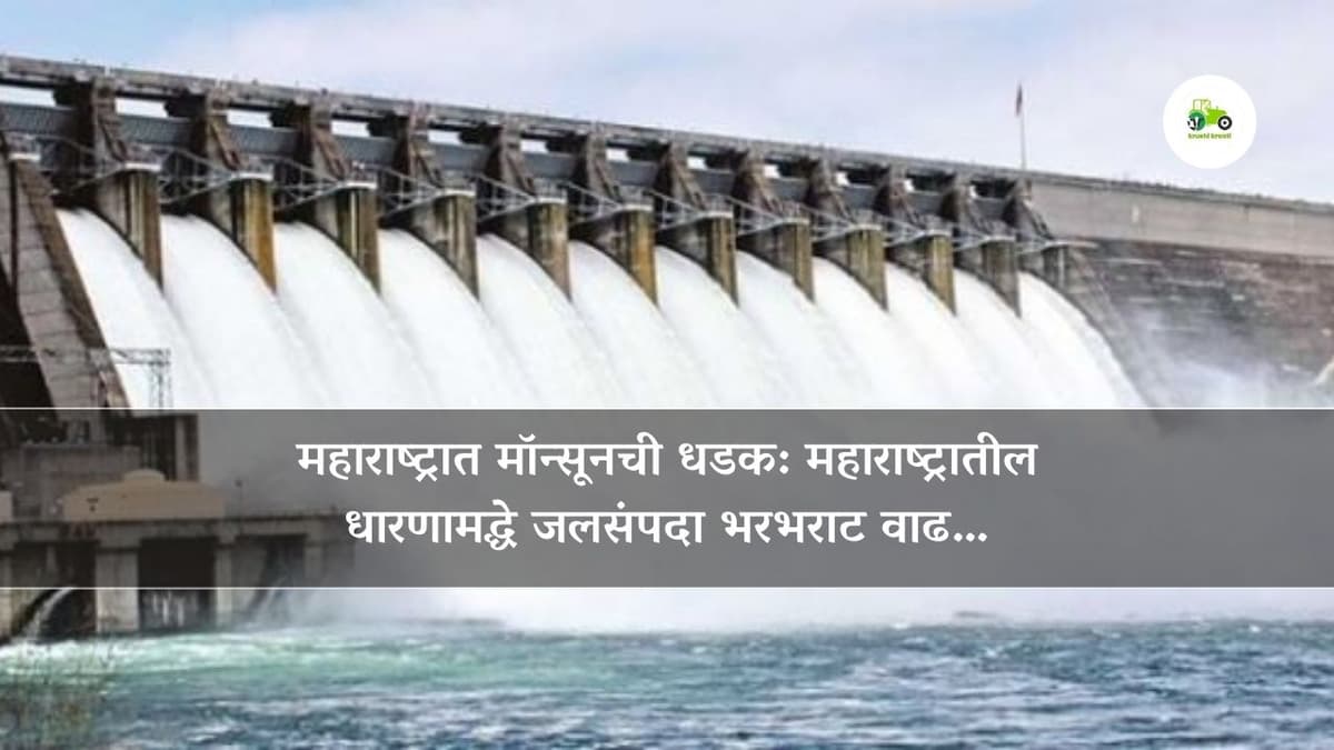 महाराष्ट्रात मॉन्सूनची धडक: महाराष्ट्रातील धारणामद्धे जलसंपदा भरभराट वाढ…