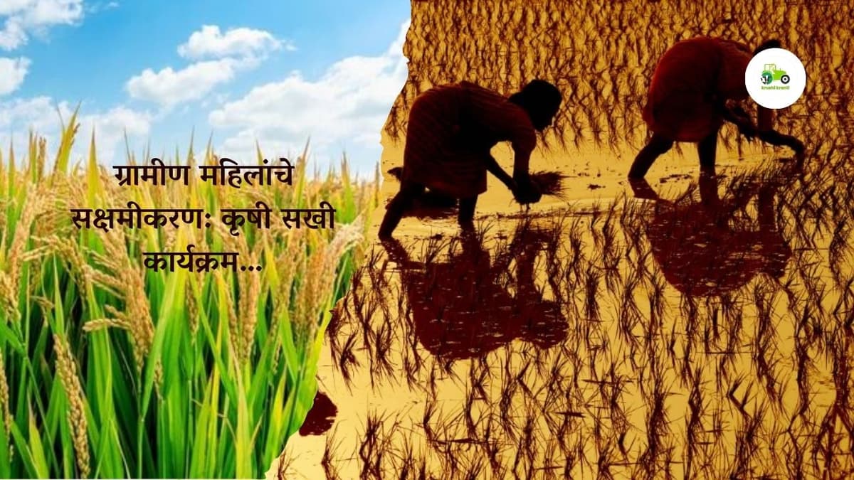 ग्रामीण महिलांचे सक्षमीकरण: कृषी सखी कार्यक्रम…
