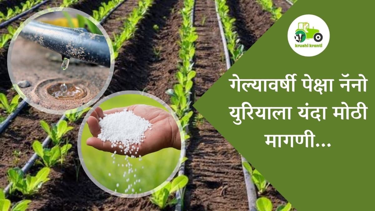गेल्यावर्षी पेक्षा नॅनो युरियाला यंदा मोठी मागणी...