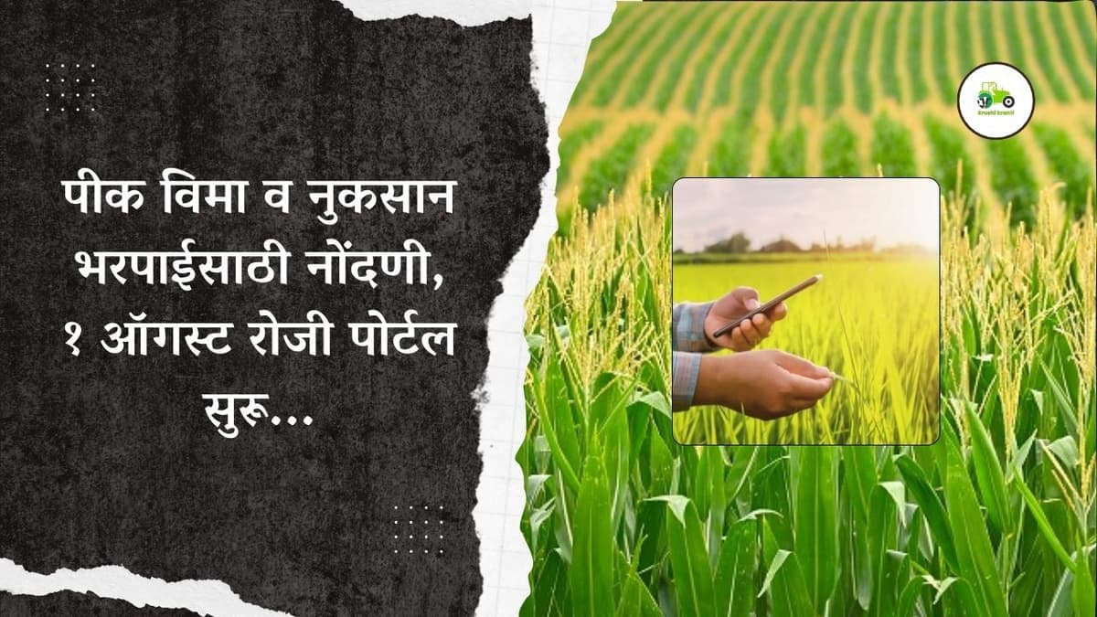 पीक विमा व नुकसान भरपाईसाठी नोंदणी, १ ऑगस्ट पासून पोर्टल सुरू...