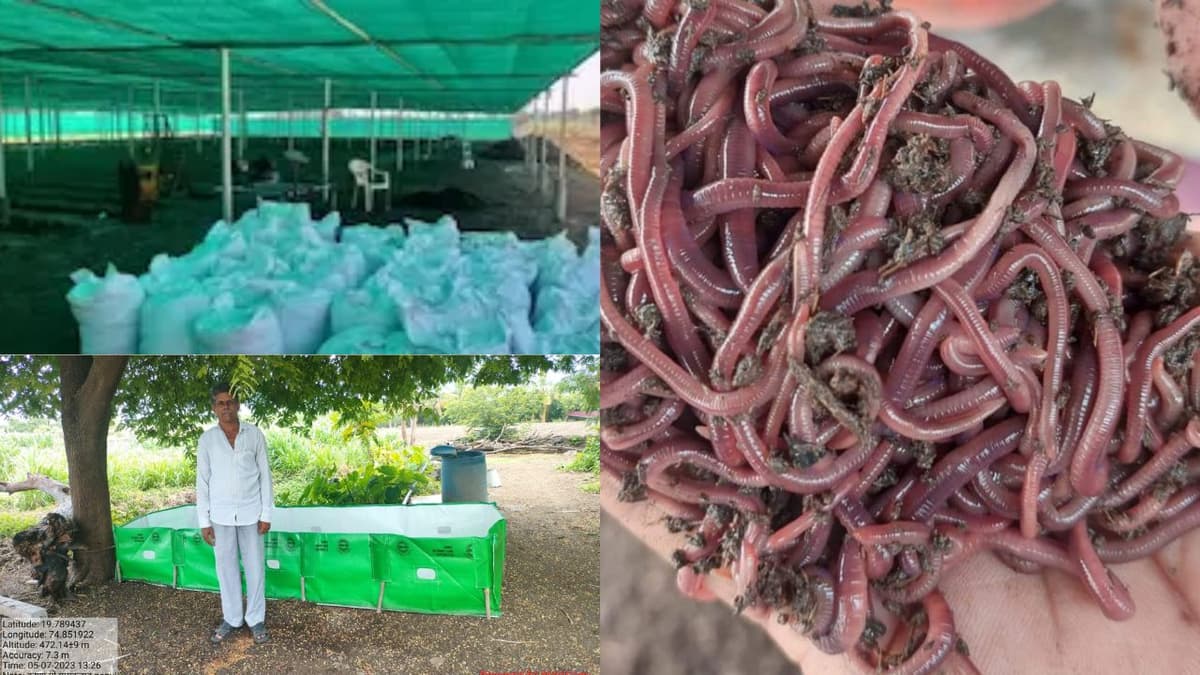 पवार गांडूळ खत प्रकल्प