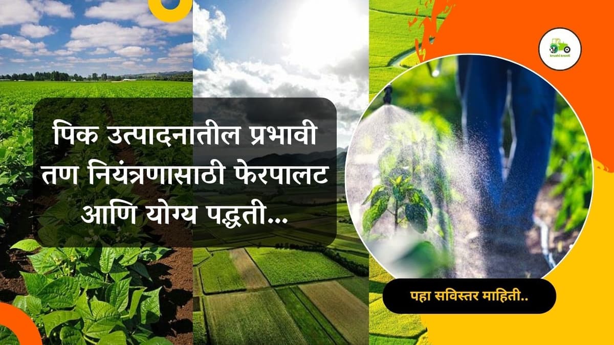 पिक उत्पादनातील प्रभावी तण नियंत्रणासाच्या योग्य पद्धती…