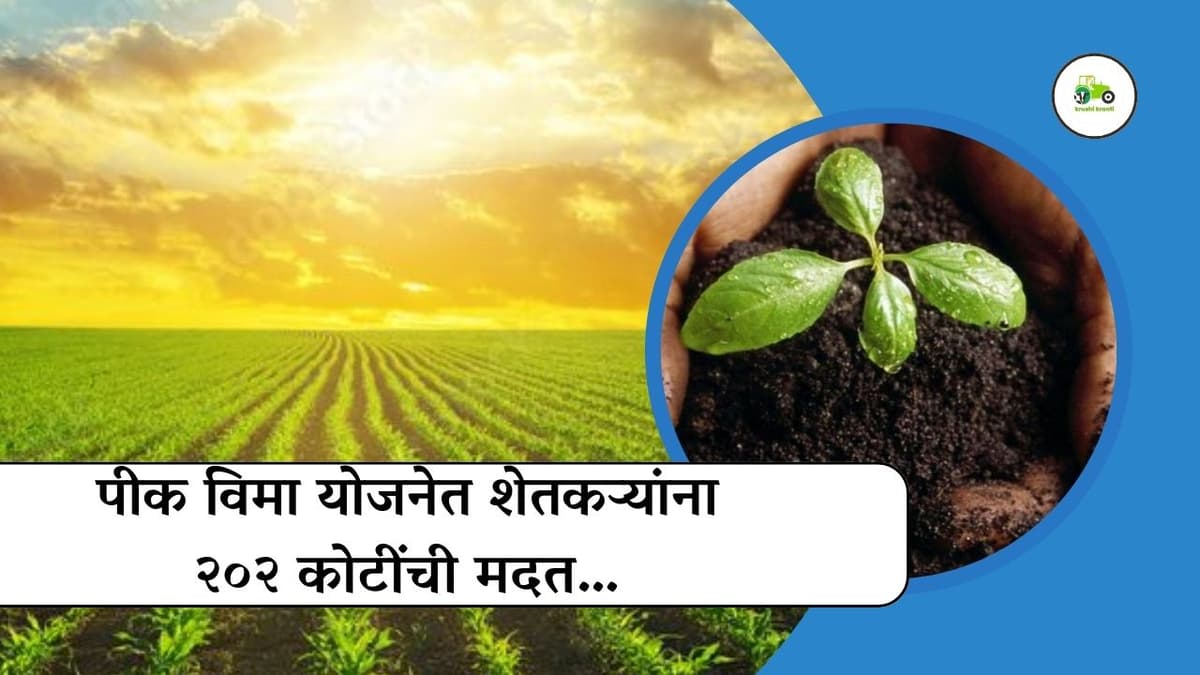 पीक विमा योजनेतुन शेतकऱ्यांना २०२ कोटींची मदत…