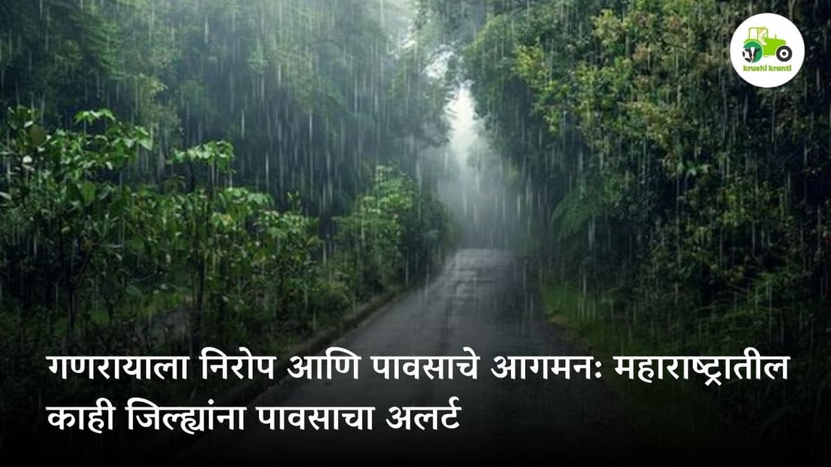 गणरायाला निरोप आणि पावसाचे आगमन: महाराष्ट्रातील काही जिल्ह्यांना पावसाचा अलर्ट