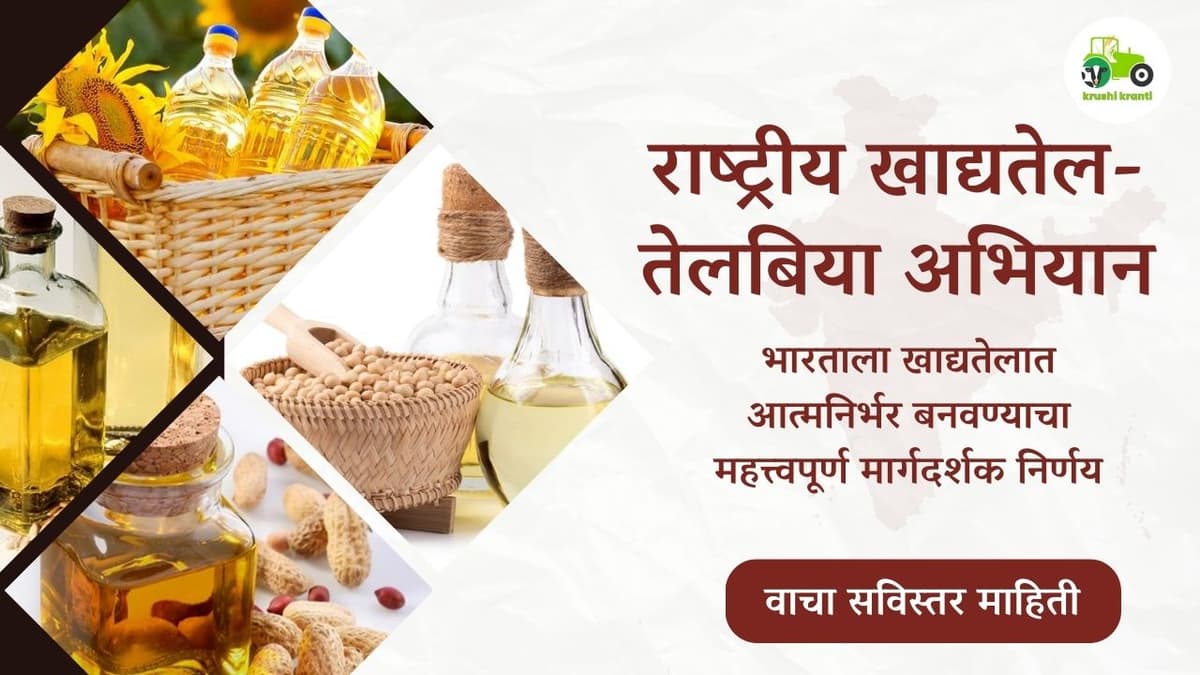 राष्ट्रीय खाद्यतेल-तेलबिया अभियान: भारताला खाद्यतेलात आत्मनिर्भर बनवण्याचा महत्त्वपूर्ण मार्गदर्शक निर्णय