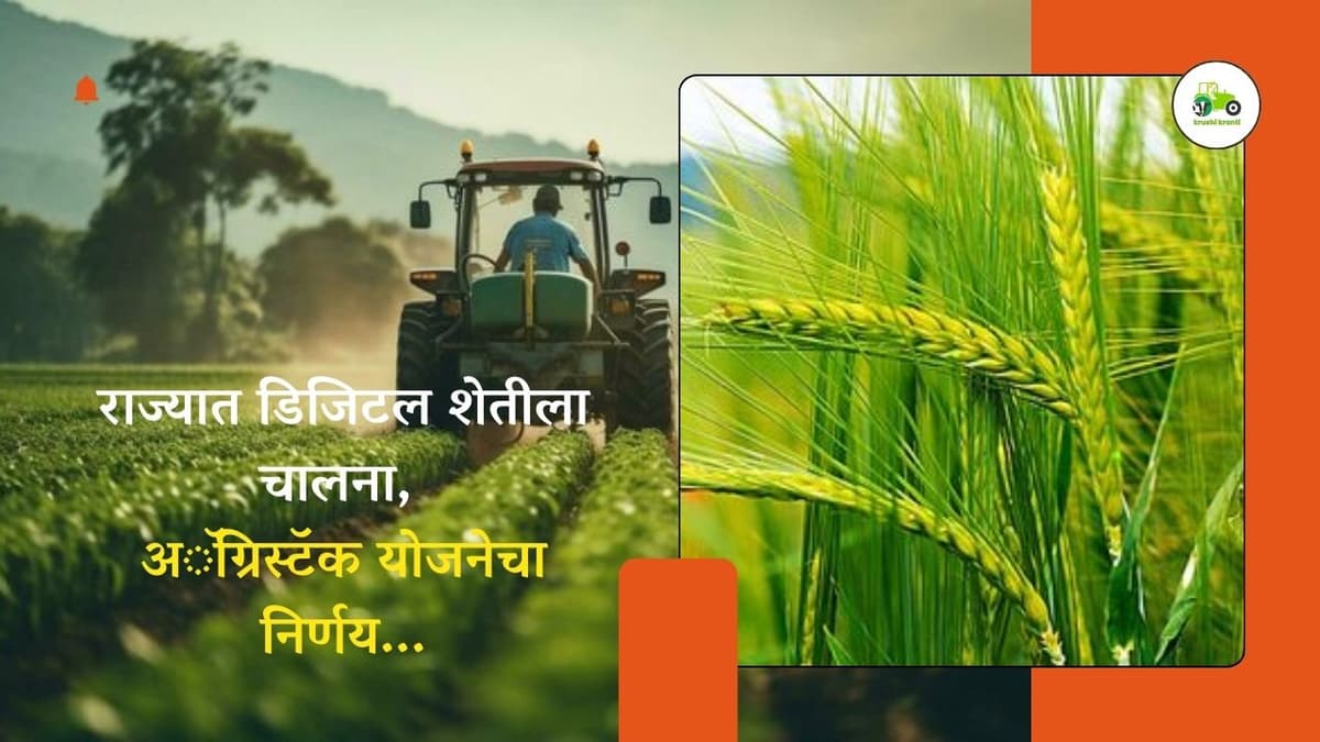 राज्यात डिजिटल शेतीला चालना, अॅग्रिस्टॅक योजनेचा निर्णय...