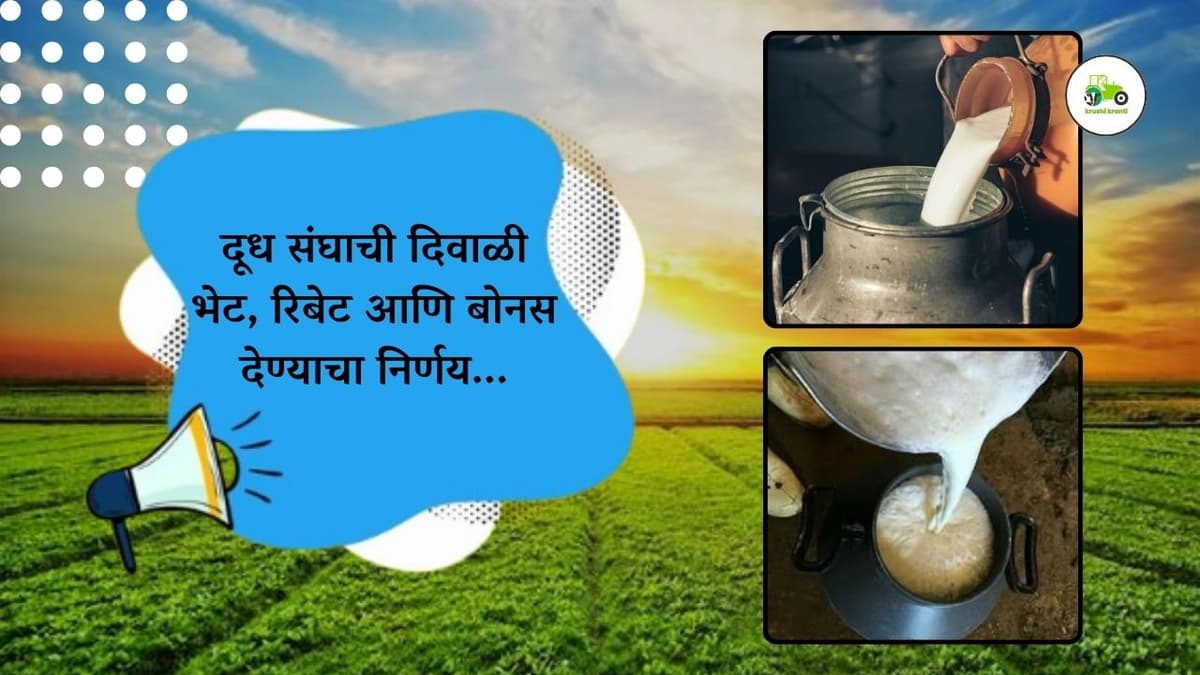 दूध संघाची दिवाळी भेट, रिबेट आणि बोनस देण्याचा निर्णय...