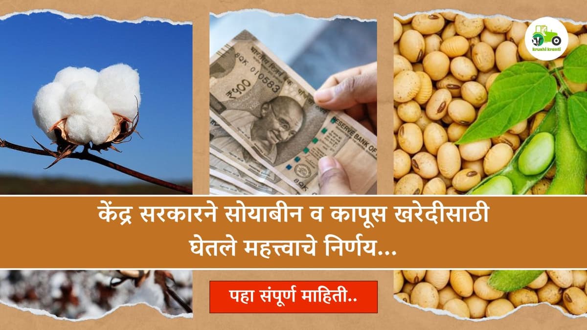 केंद्र सरकारने सोयाबीन व कापूस खरेदीसाठी घेतले महत्त्वाचे निर्णय...