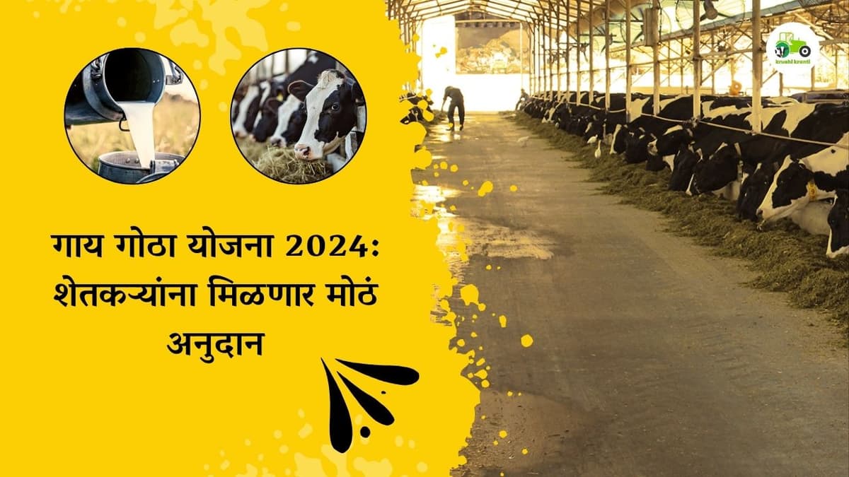 गाय गोठा योजना 2024: शेतकऱ्यांना मिळणार मोठं अनुदान, पात्रता आणि अर्ज प्रक्रिया जाणून घ्या..!