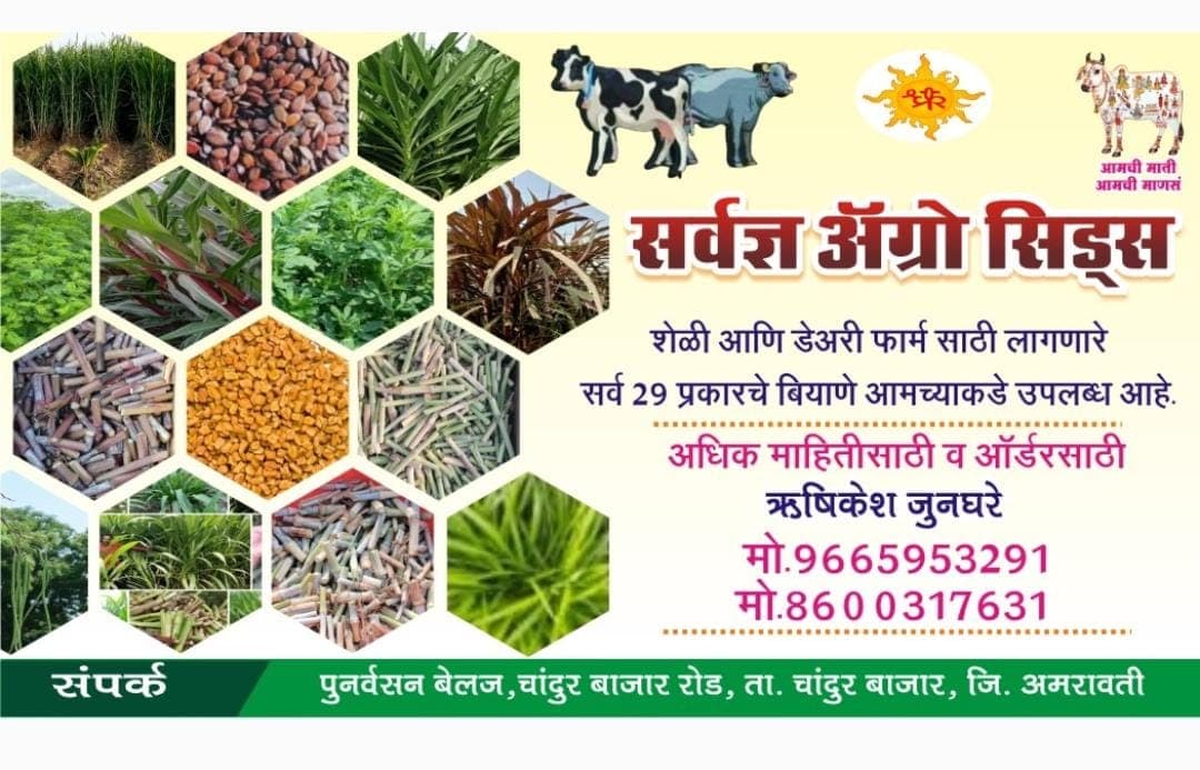 सर्वज्ञ ॲग्रो सिड्स