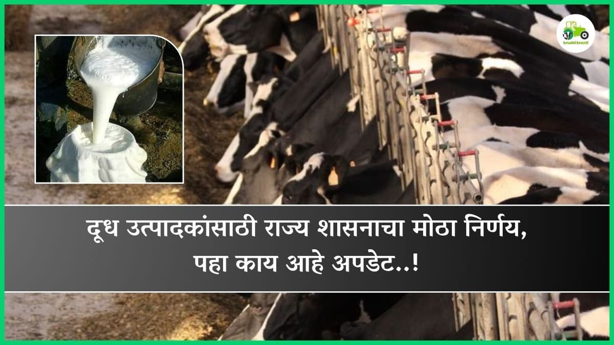 दूध उत्पादकांसाठी राज्य शासनाचा मोठा निर्णय, पहा काय आहे अपडेट..!