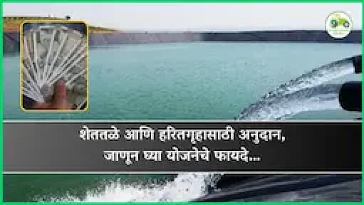 शेततळे आणि हरितगृहासाठी अनुदान, जाणून घ्या योजनेचे फायदे…