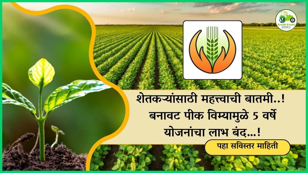 शेतकऱ्यांसाठी मोठी बातमी..! पीकविमा चुकीचा भरत असल्यास होणार हा तोटा पहा सविस्तर माहिती...!