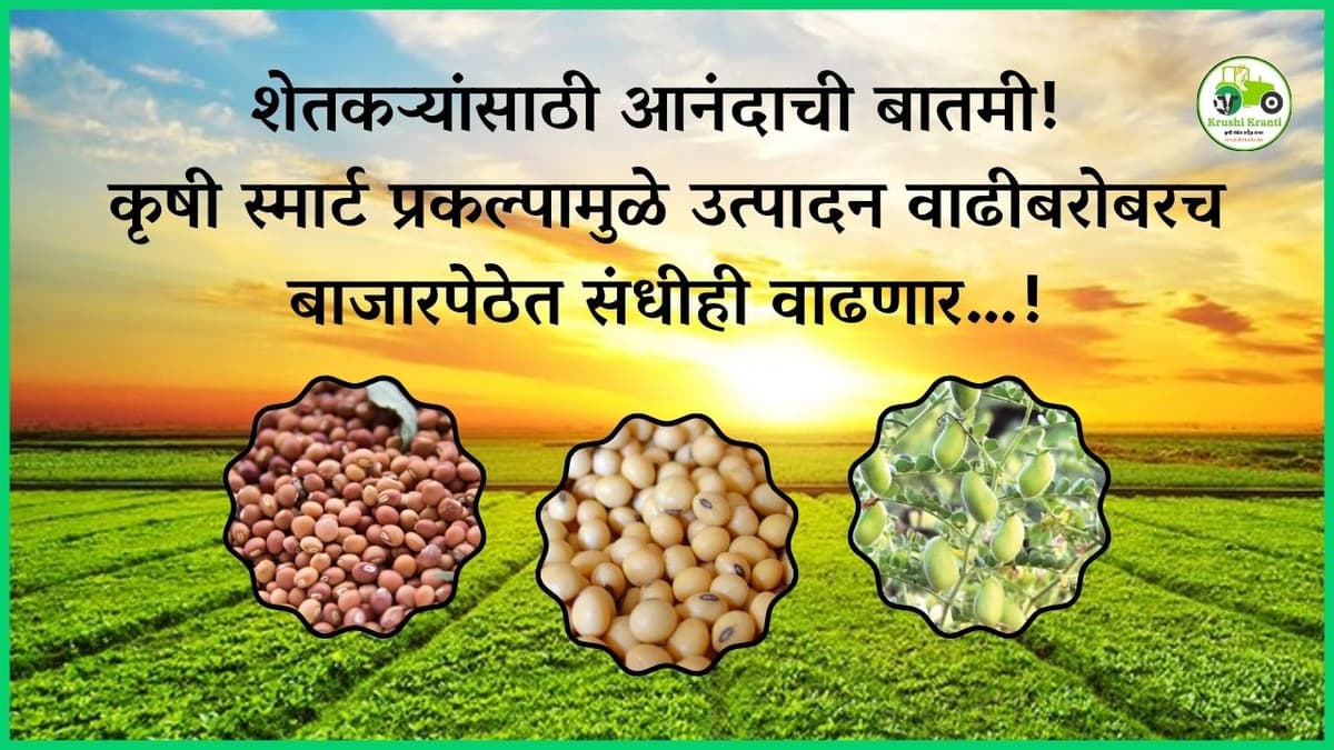 शेतकऱ्यांसाठी आनंदाची बातमी! कृषी स्मार्ट प्रकल्पामुळे उत्पादन वाढीबरोबरच बाजारपेठेत संधीही वाढणार…!