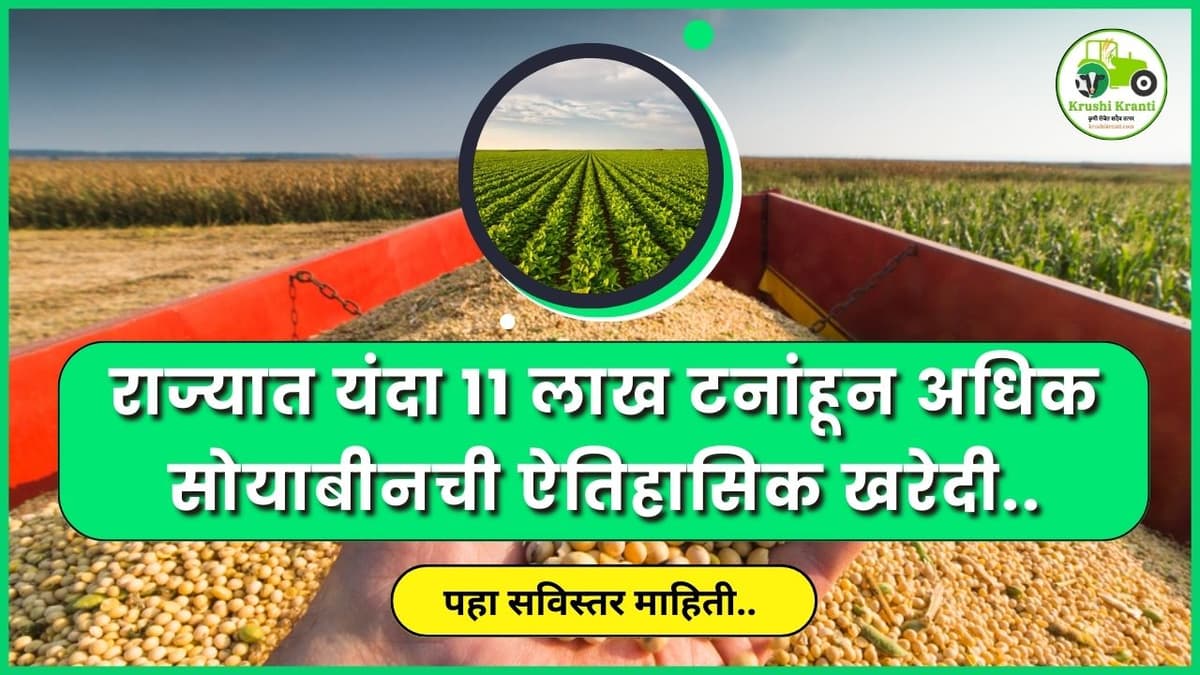 राज्यात यंदा ११ लाख टनांहून अधिक सोयाबीनची ऐतिहासिक खरेदी..