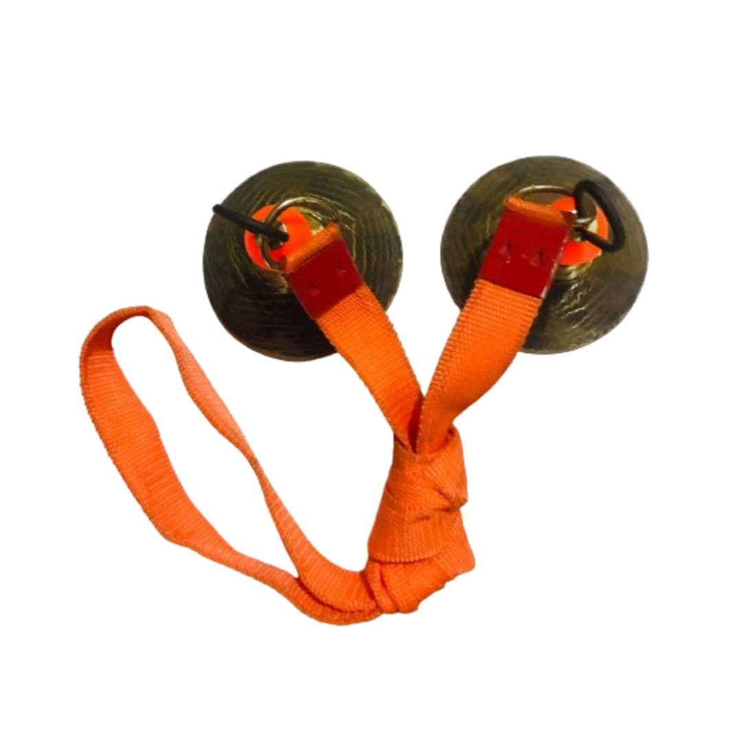 भजनामध्ये पुरुष वापरतात तो टाळ