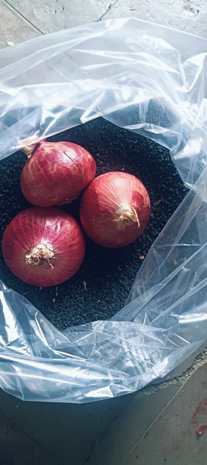 खात्रीशीर घरगुती कांदा बियाणे उपलब्ध!