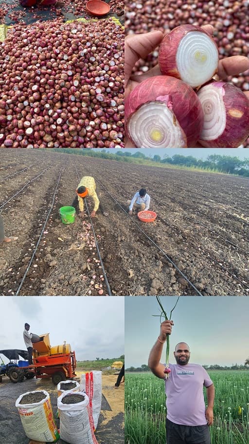 लाल व उन्हाळ कांदा बियाणे उपलब्ध!