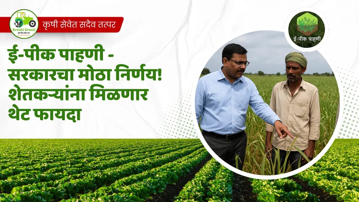 E - Peek Pahani : ई-पीक पाहणी - सरकारचा मोठा निर्णय! शेतकऱ्यांना मिळणार थेट फायदा