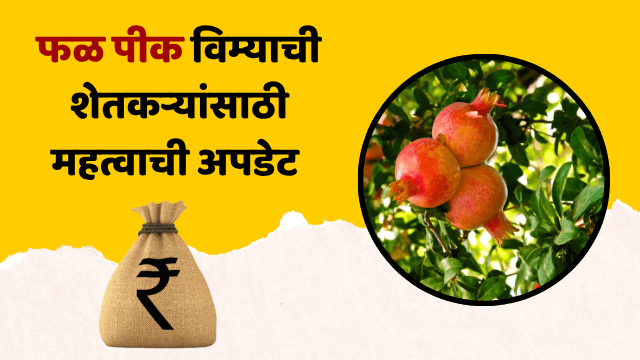 कृषी विभागाचा मोठा निर्णय! फळपीक विम्यासाठी शेतकऱ्यांना Farmer ID अनिवार्य