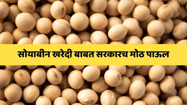 हमीदराने सोयाबीन खरेदीसाठी शासकीय केंद्र सुरू करण्याची मागणी