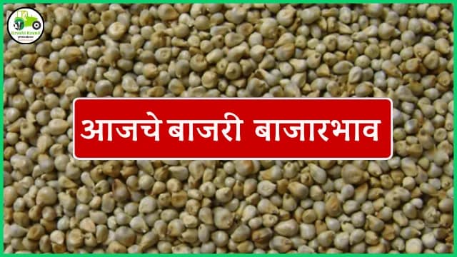 आजचे बाजरी बाजारभाव