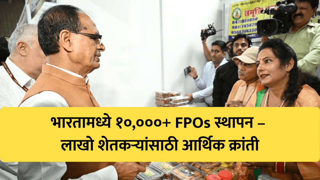 कृषी क्षेत्रातील नवा अध्याय: देशात उभारल्या १०,००० पेक्षा अधिक शेतकरी उत्पादक संघटना (FPOs)