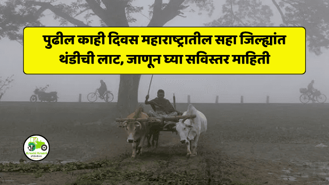 Cold Weather : पुढील काही दिवस महाराष्ट्रातील सहा जिल्ह्यांत थंडीची लाट, जाणून घ्या सविस्तर माहिती