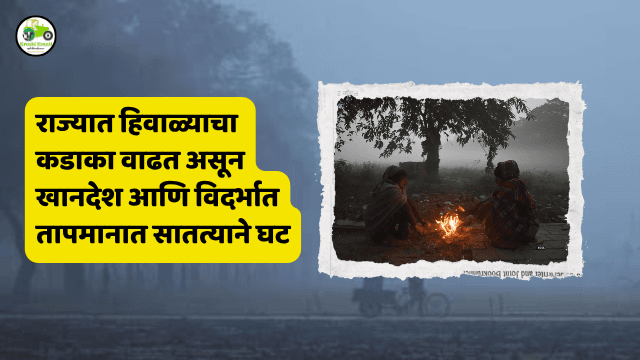 राज्यात थंडीचा कडाका कायम; धुळे सर्वात थंड, खानदेश-विदर्भात तापमान घट
