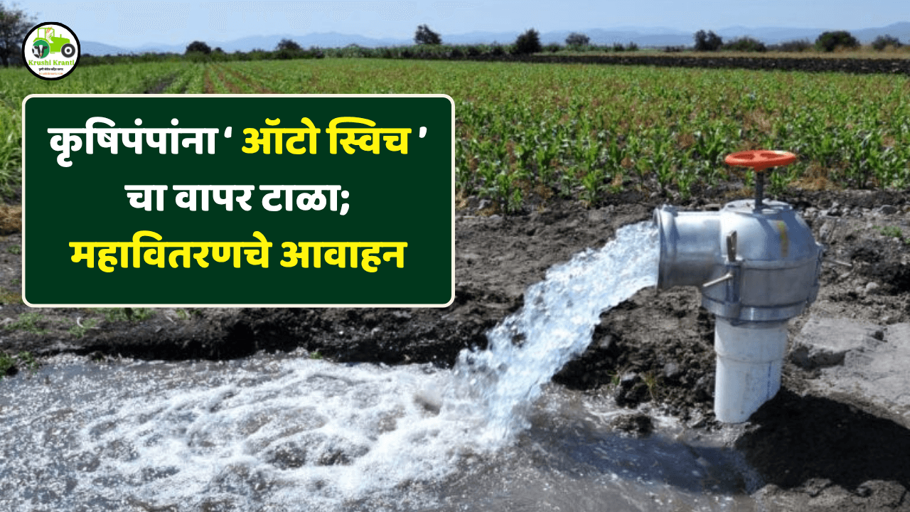 कृषिपंपांना ‘ऑटो स्विच’चा वापर टाळा; महावितरणचे आवाहन