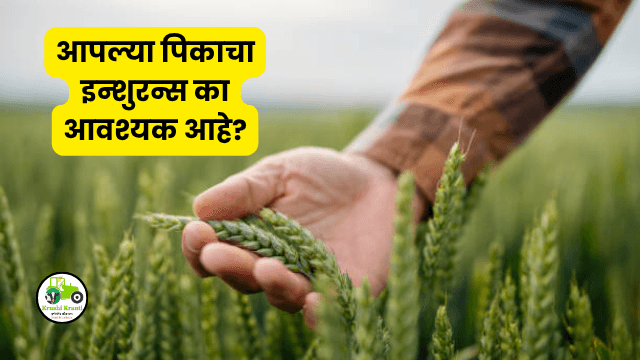 Crop Insurance : आपल्या पिकाचा इन्शुरन्स का आवश्यक आहे?