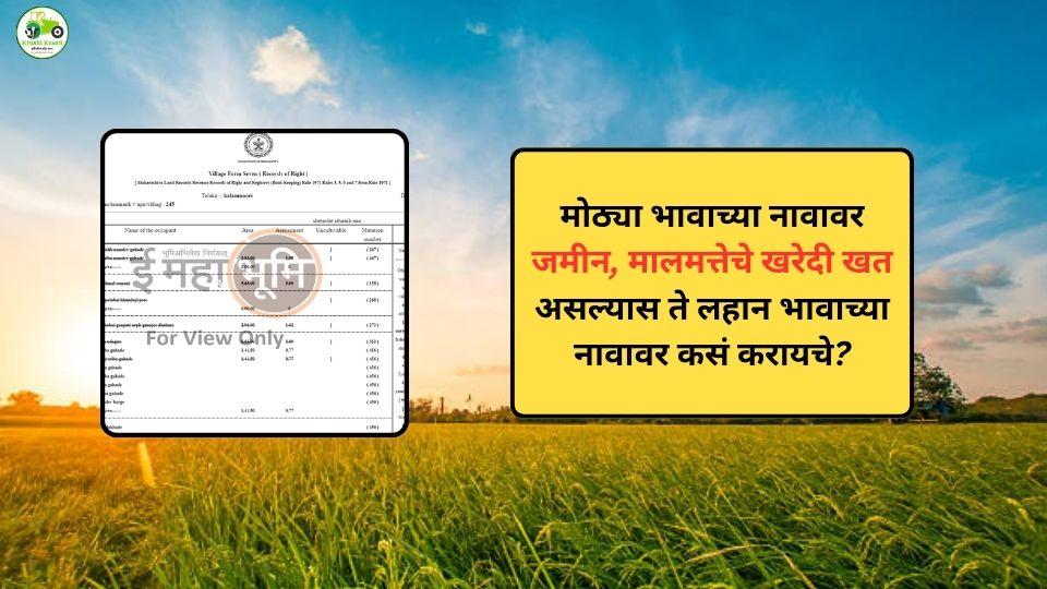 मोठ्या भावाच्या नावावरील जमीन लहान भावाच्या नावावर कशी हस्तांतरण करावी? जाणून घ्या संपूर्ण प्रक्रिया