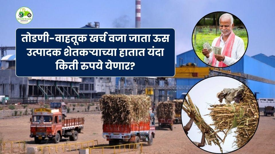 सोलापूरमध्ये उसाचा NET दर फक्त ₹2500/टन? जाणून घ्या तोडणी–वाहतूक खर्चाचा खरा हिशेब