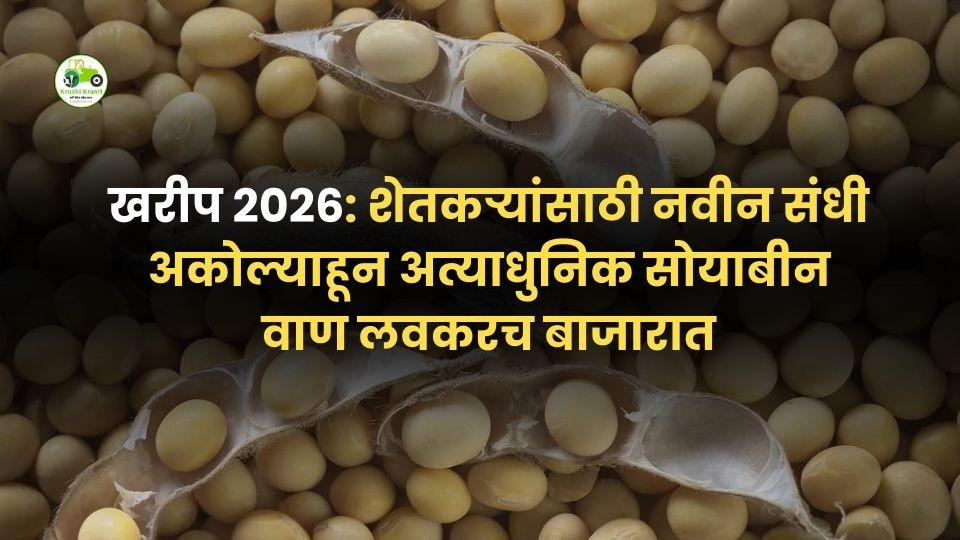 खरीप 2026 साठी नवा सोयाबीन वाण – जास्त उत्पादन व रोगप्रतिकारक्षम वाण शेतकऱ्यांसाठी उपलब्ध
