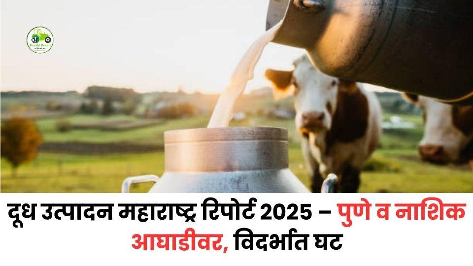 दुग्ध उत्पादनात पुणे–नाशिक राज्यात अव्वल; कोकण–विदर्भ मागे का? ताज्या आकडेवारीचा सविस्तर आढावा