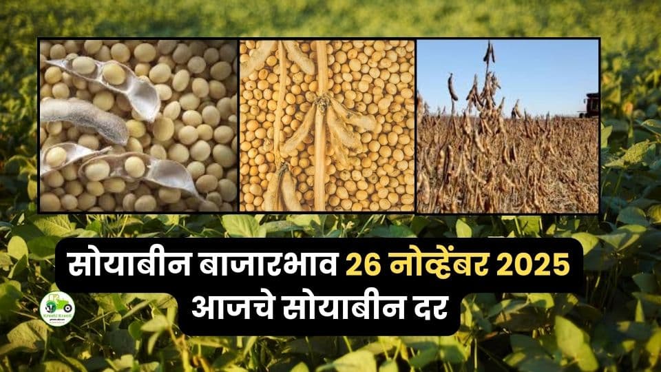 २६ नोव्हेंबर सोयाबीन बाजारभाव: लातूरची प्रचंड आवक, जालना व सिंदी(सेलू)मध्ये उच्च दर!