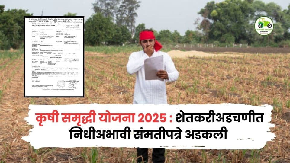कृषी समृद्धी योजना 2025 : निधीअभावी अडखळली? शेतकरी आणि अधिकारी दोघेही अडचणीत