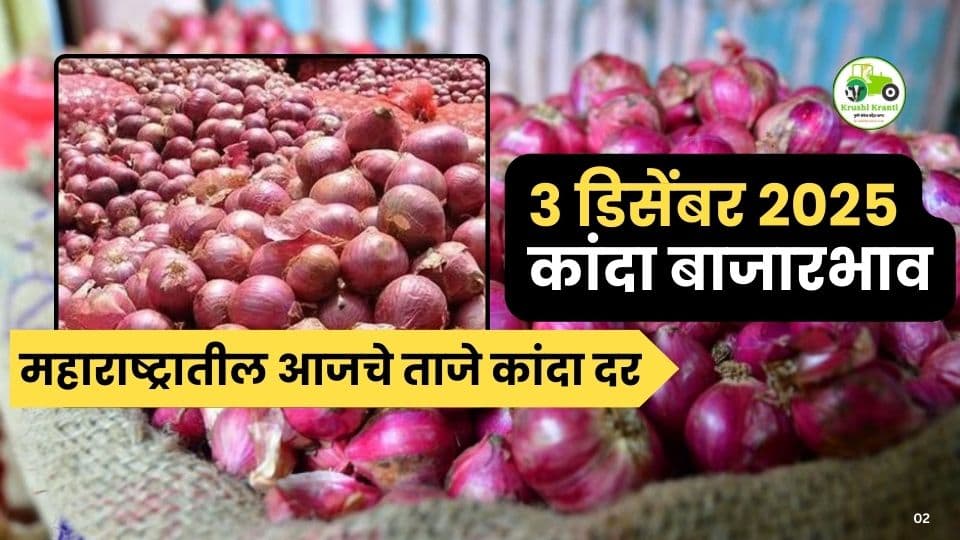 ३ डिसेंबर २०२५ कांदा बाजारभाव : महाराष्ट्रातील आजचे ताजे कांदा दर
