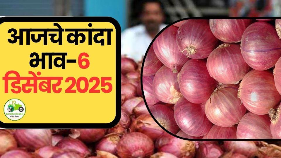 कांदा बाजारभाव आज – 6 डिसेंबर 2025 | महाराष्ट्र कांदा दर अपडेट