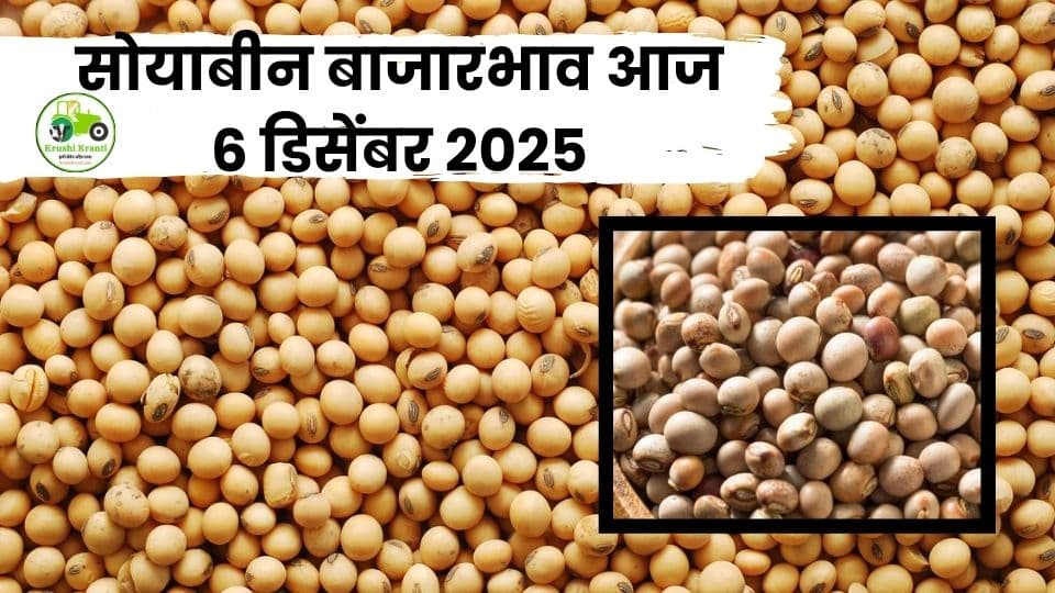 सोयाबीन बाजारभाव आज – 6 डिसेंबर 2025 | महाराष्ट्र सोयाबीन दर अपडेट