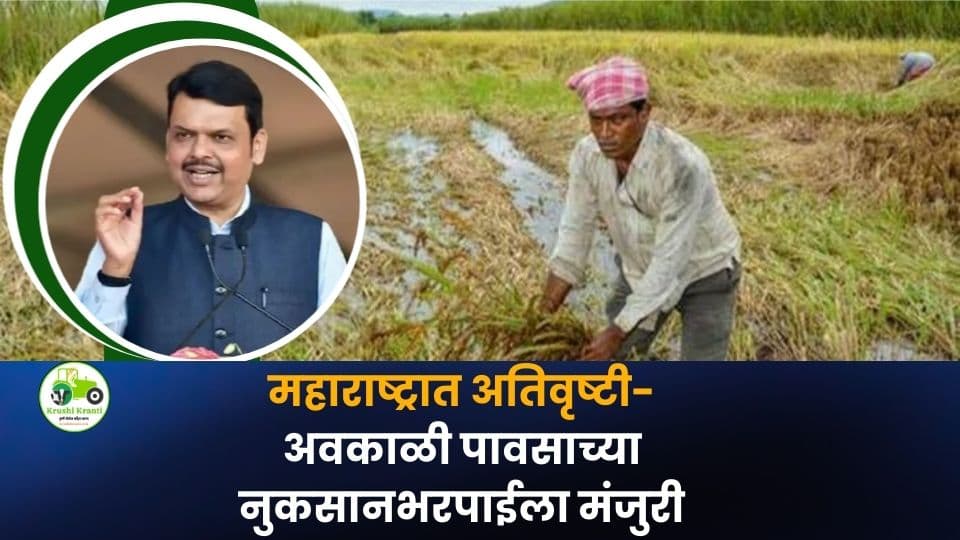 महाराष्ट्रात अतिवृष्टी नुकसानभरपाई मंजूर: ४.०६ लाख हेक्टर क्षेत्रासाठी ४८२ कोटींचा निधी