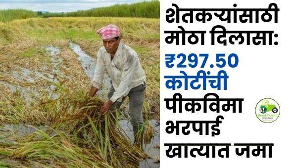 हिंगोली शेतकऱ्यांसाठी मोठा दिलासा: ₹297.50 कोटींची पीकविमा भरपाई खात्यात जमा