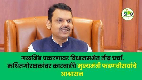 अहिल्यानगर गळनिंब प्रकरण | कथित गोरक्षकांवर कारवाईची मागणी, विधानसभेत चर्चा