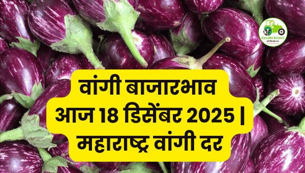 आजचा वांगी बाजारभाव | 18 डिसेंबर 2025 महाराष्ट्र