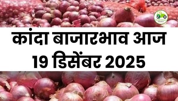 आजचा कांदा बाजारभाव | 19 डिसेंबर 2025 महाराष्ट्र