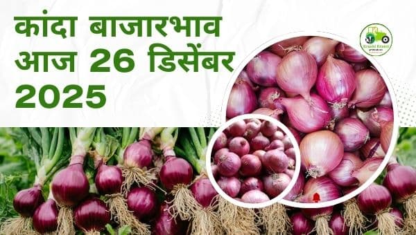 आजचा कांदा बाजारभाव | 26 डिसेंबर 2025